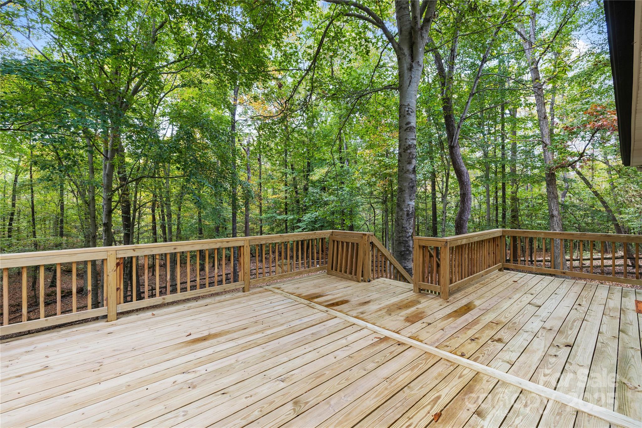 11113 Asbury Chapel Road Huntersville, NC 28078 - Photo 20 of 40 a view of deck with hardwood and trees