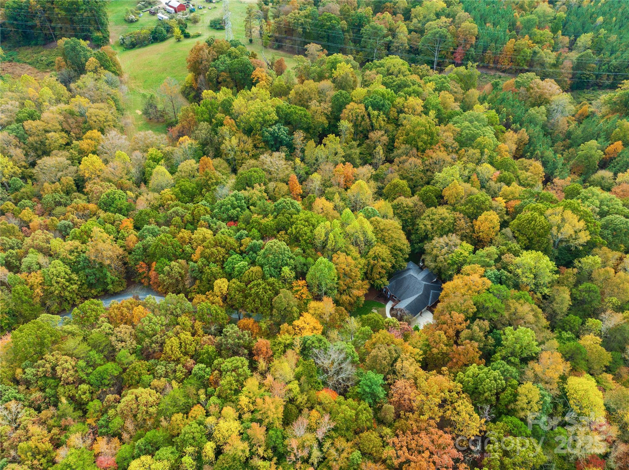 11113 Asbury Chapel Road Huntersville, NC 28078 - Photo 2 of 40 a view of a bunch of trees and bushes