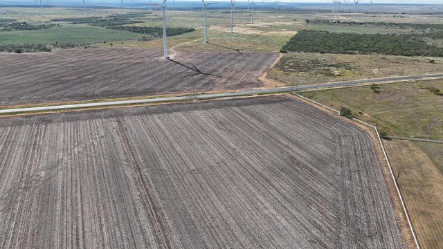 a view of a dry yard with wooden fence