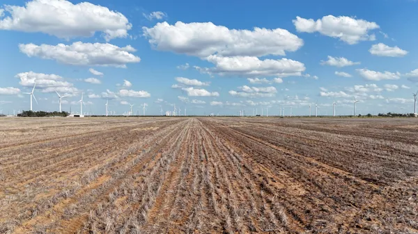 a view of a room with lots of trees