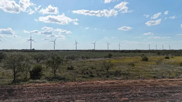 a view of a dry yard