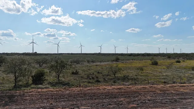 a view of a dry yard