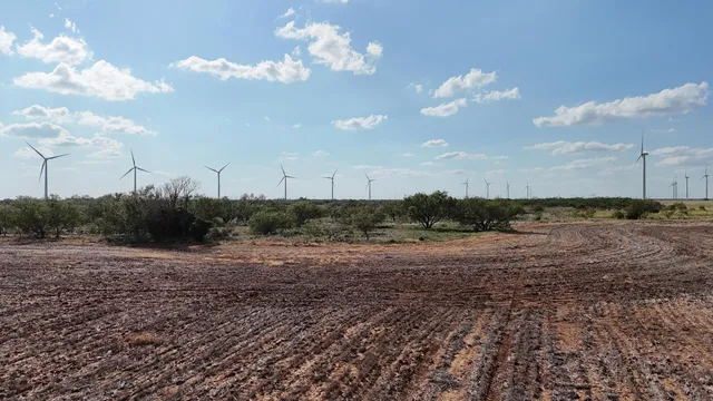 a view of a room with trees