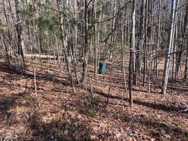 8 Cameron Point Cleveland, GA 30528 - Photo 3 of 5 Gallery Image 3