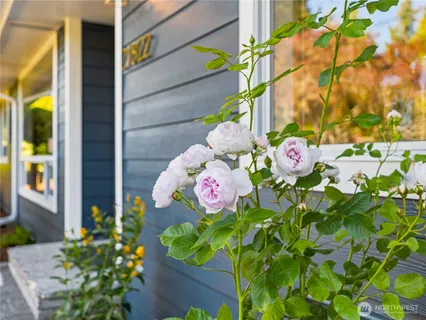 a bunch of flowers in front of the door