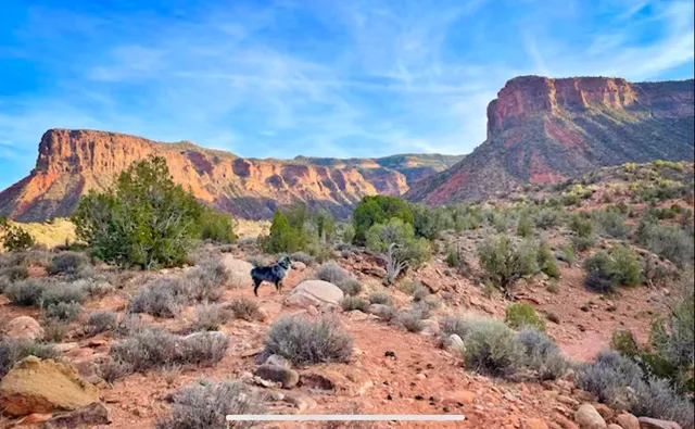 $345,000 | 435 Foy Road, Gateway, CO 81522