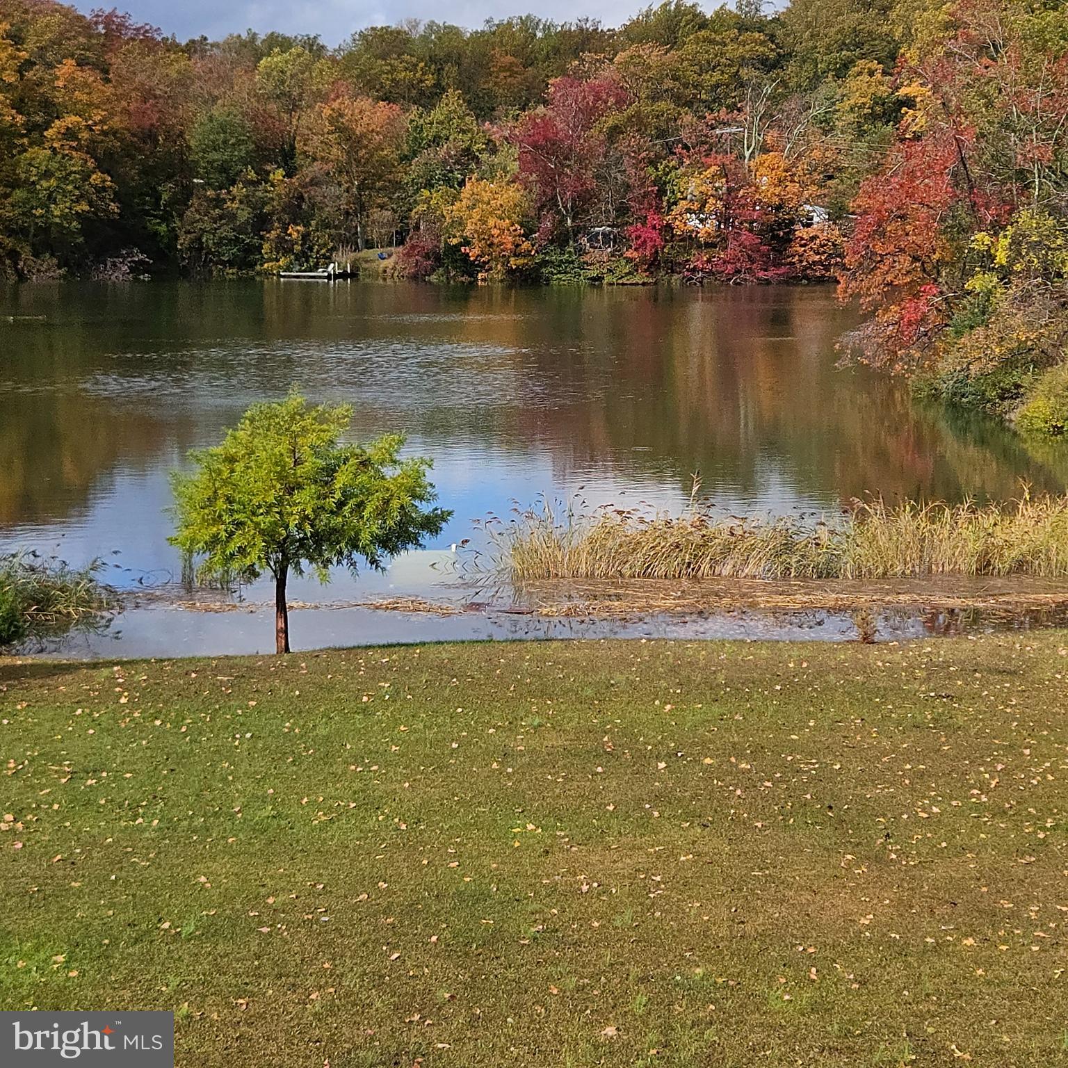 1518 Ridgely Drive Edgewater, MD 21037 - Photo 41 of 56 Fall View