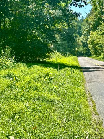 a view of a golf course with a tree