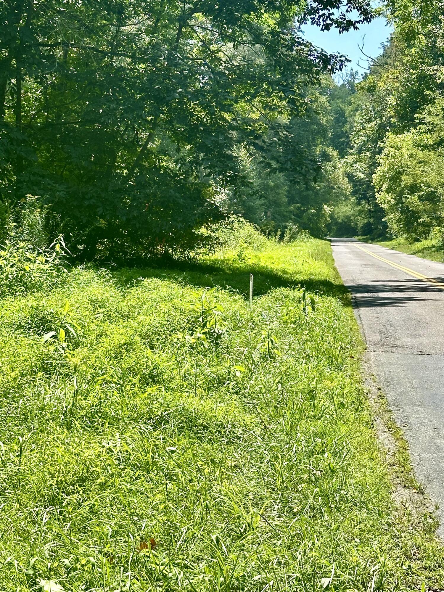 a view of a golf course with a tree