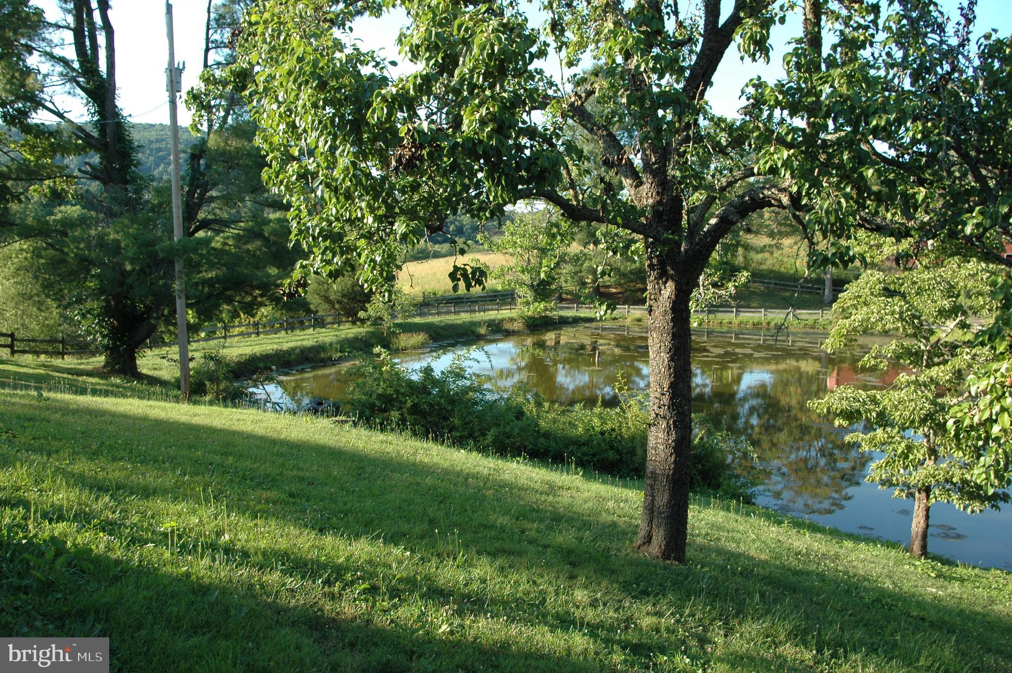 444 Scrabble Road Castleton, VA 22716 - Photo 13 of 39