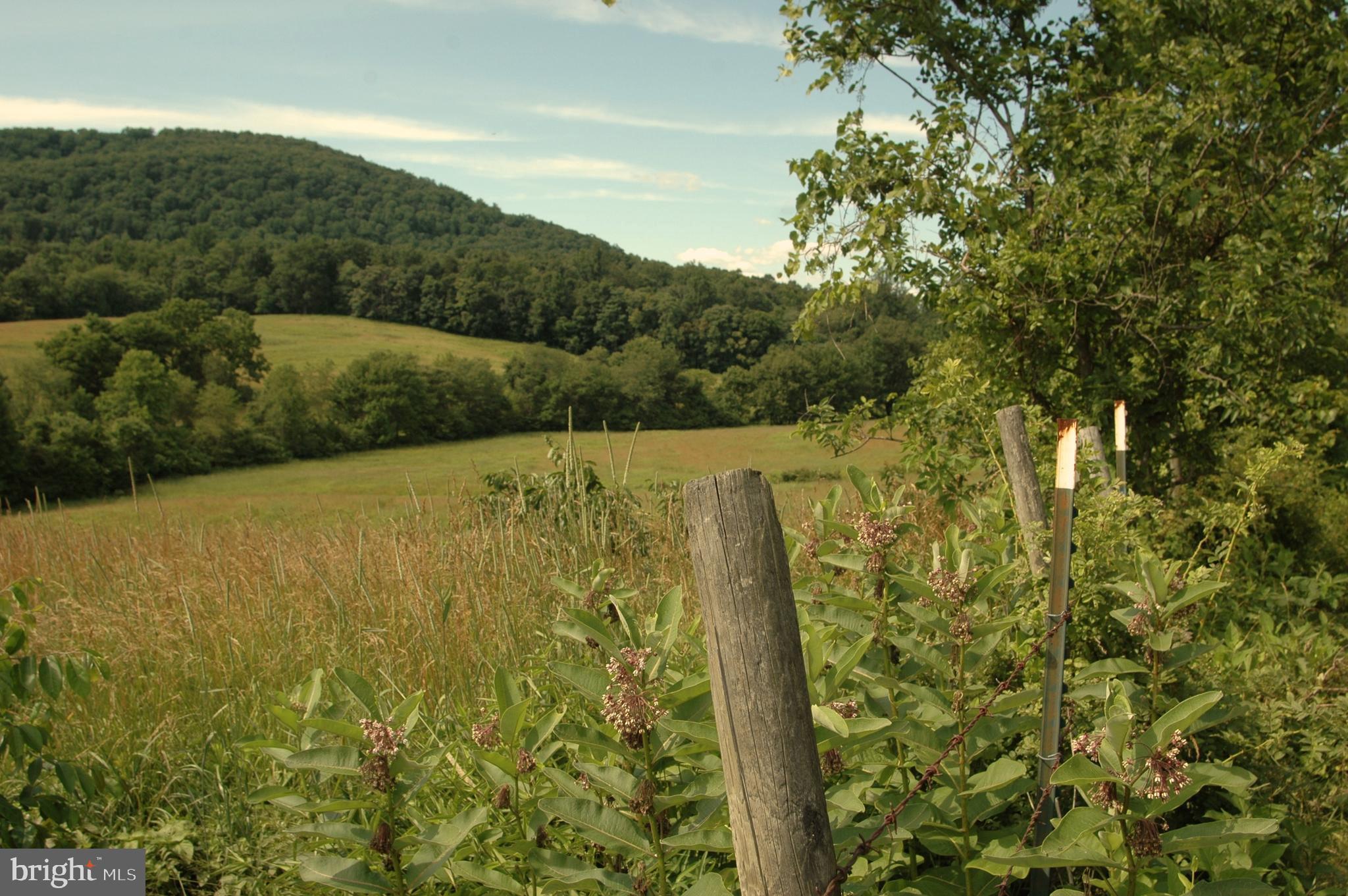 444 Scrabble Road Castleton, VA 22716 - Photo 18 of 39