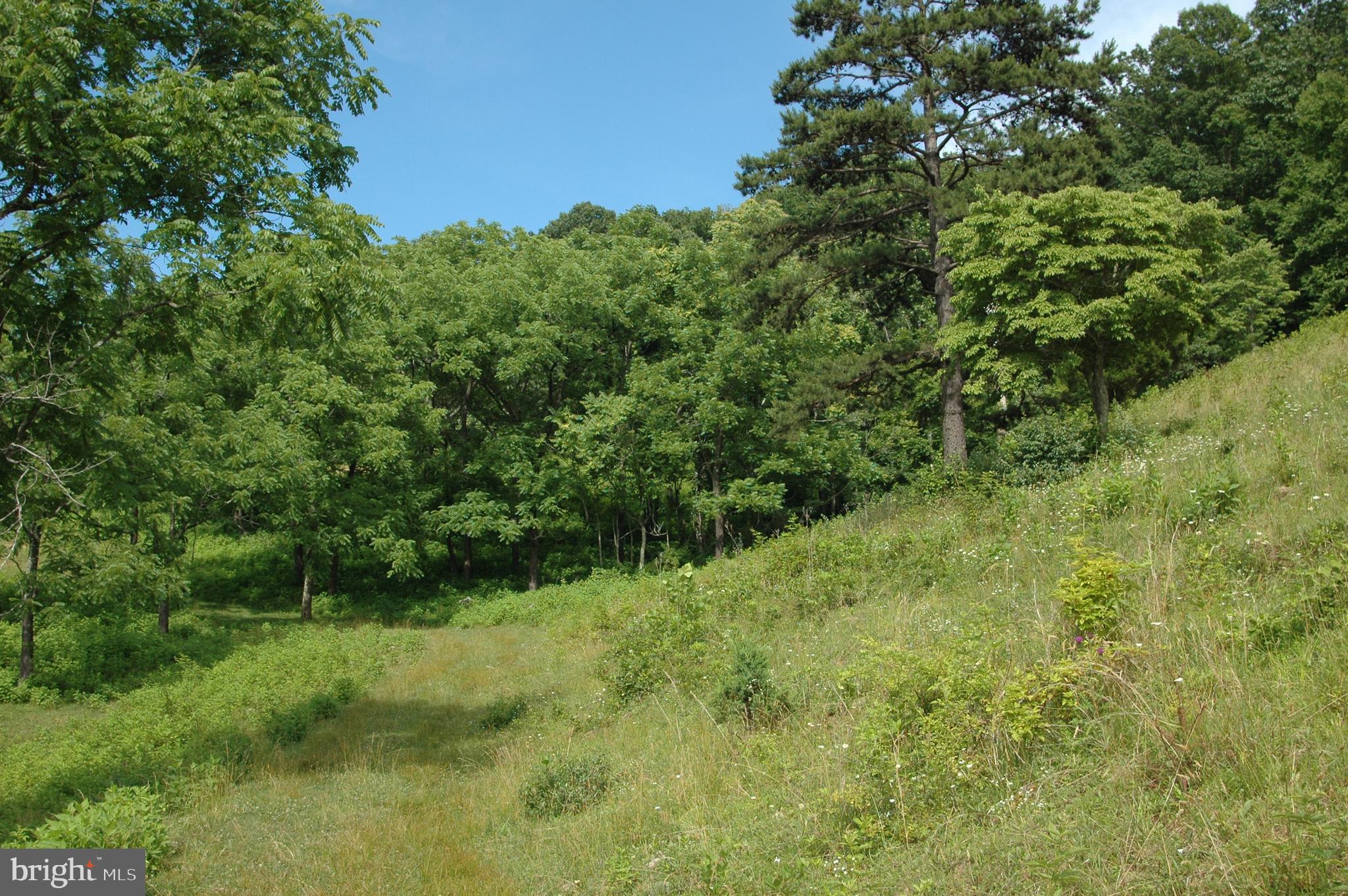 444 Scrabble Road Castleton, VA 22716 - Photo 19 of 39