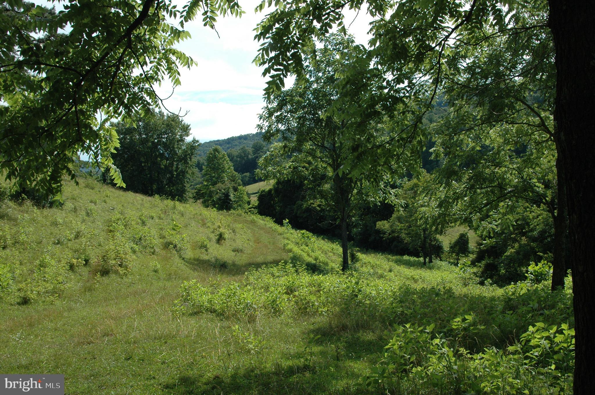 444 Scrabble Road Castleton, VA 22716 - Photo 23 of 39