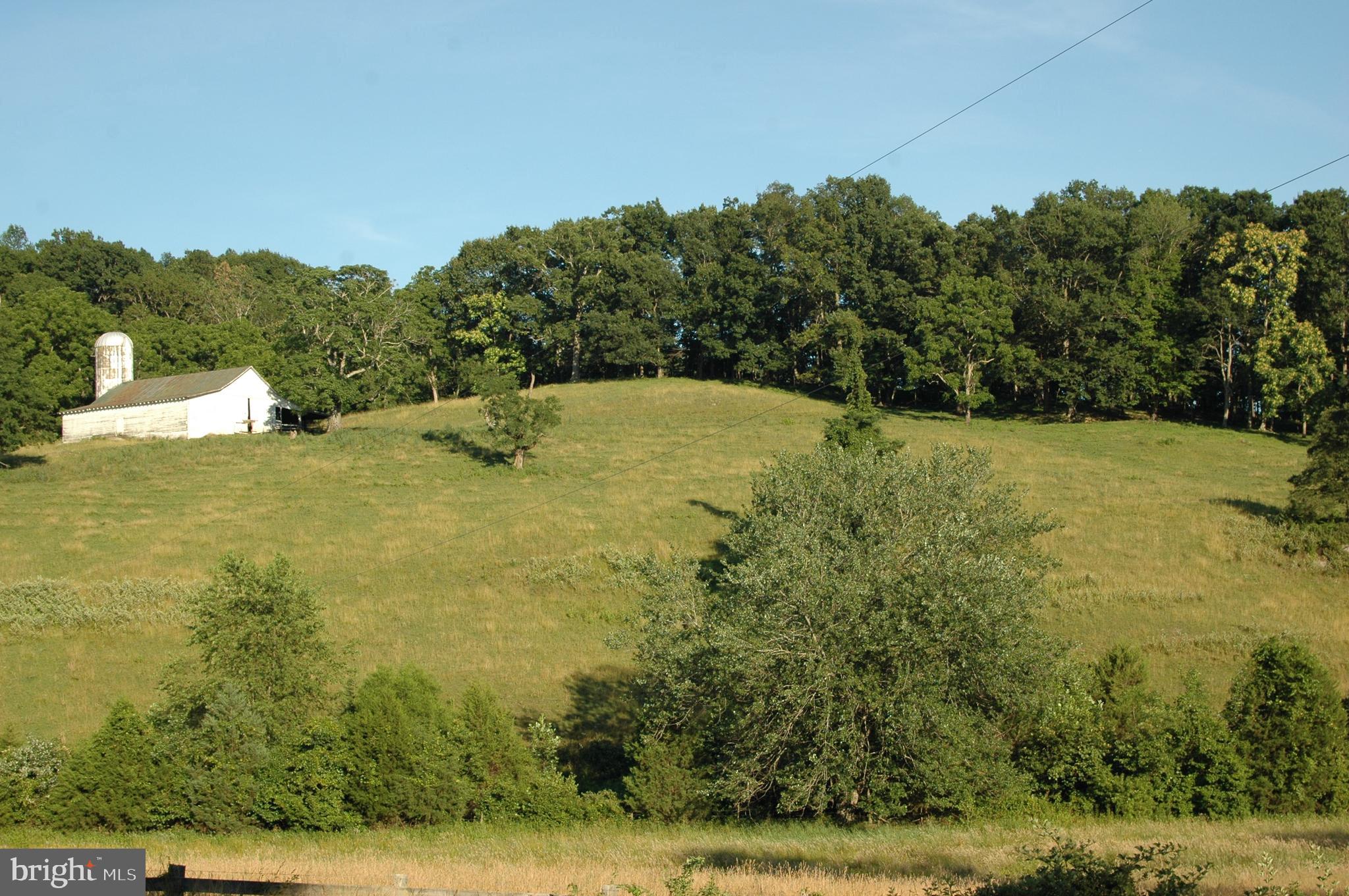 444 Scrabble Road Castleton, VA 22716 - Photo 35 of 39