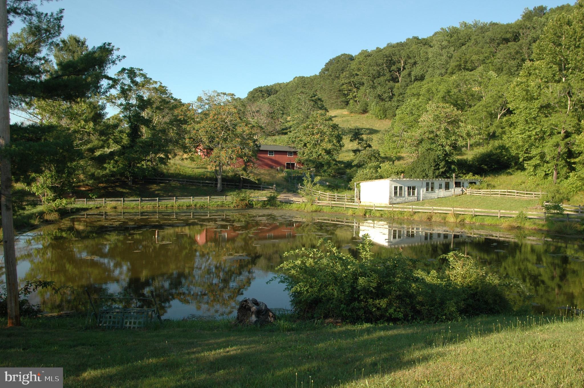 444 Scrabble Road Castleton, VA 22716 - Photo 4 of 39