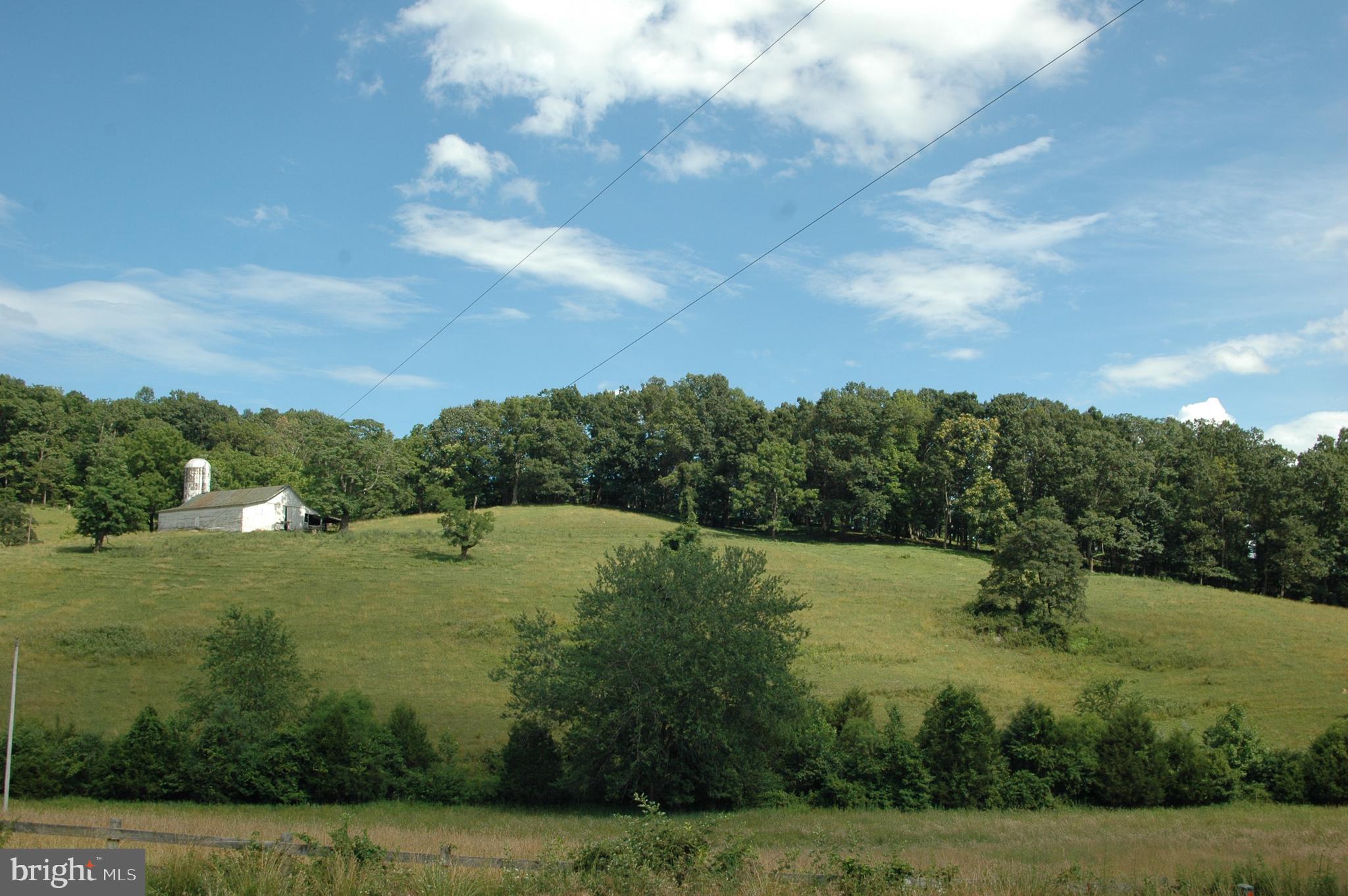 444 Scrabble Road Castleton, VA 22716 - Photo 5 of 39