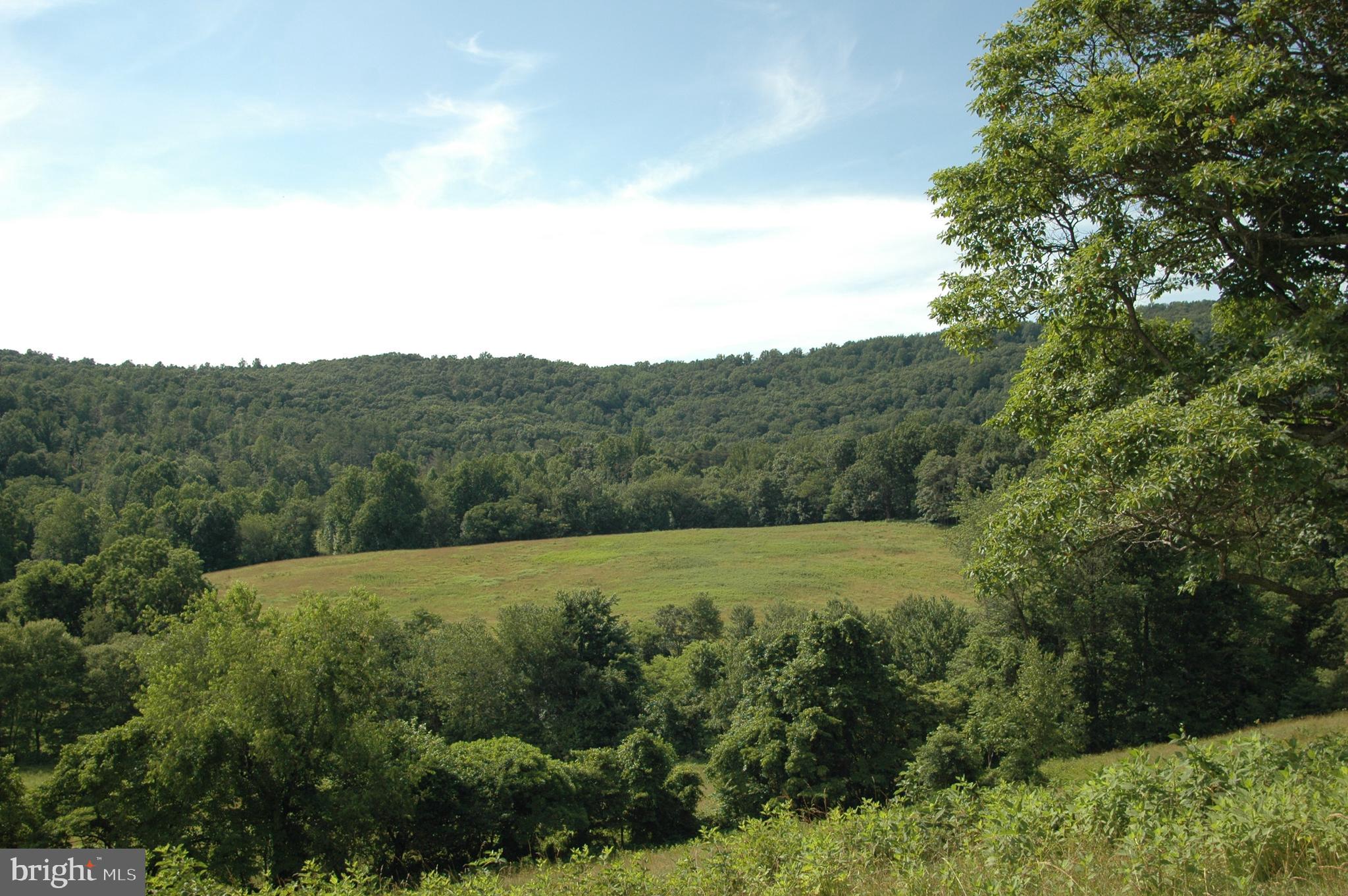 444 Scrabble Road Castleton, VA 22716 - Photo 10 of 39