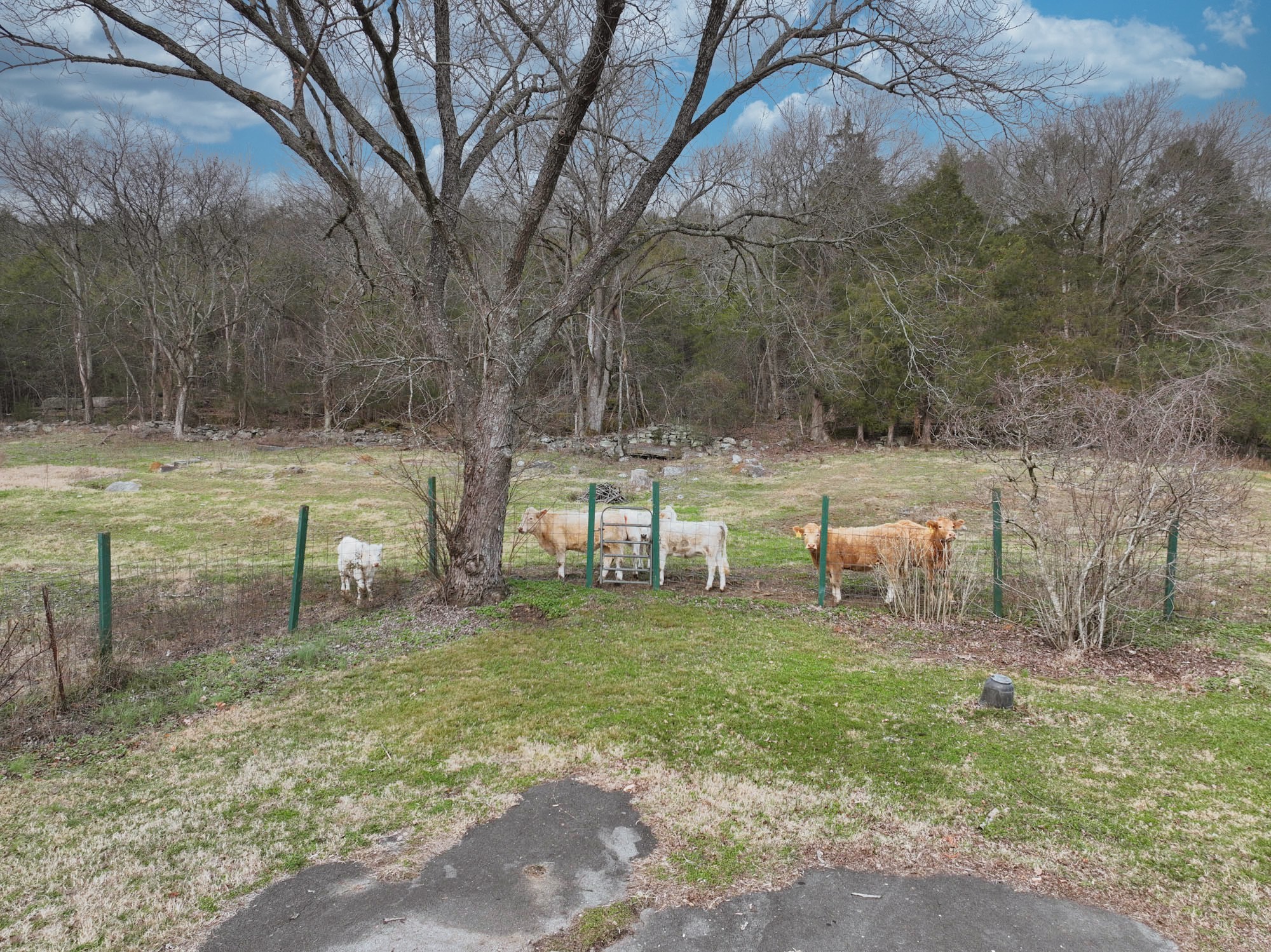 329 Cavender Road Woodbury, TN 37190 - Photo 24 of 41