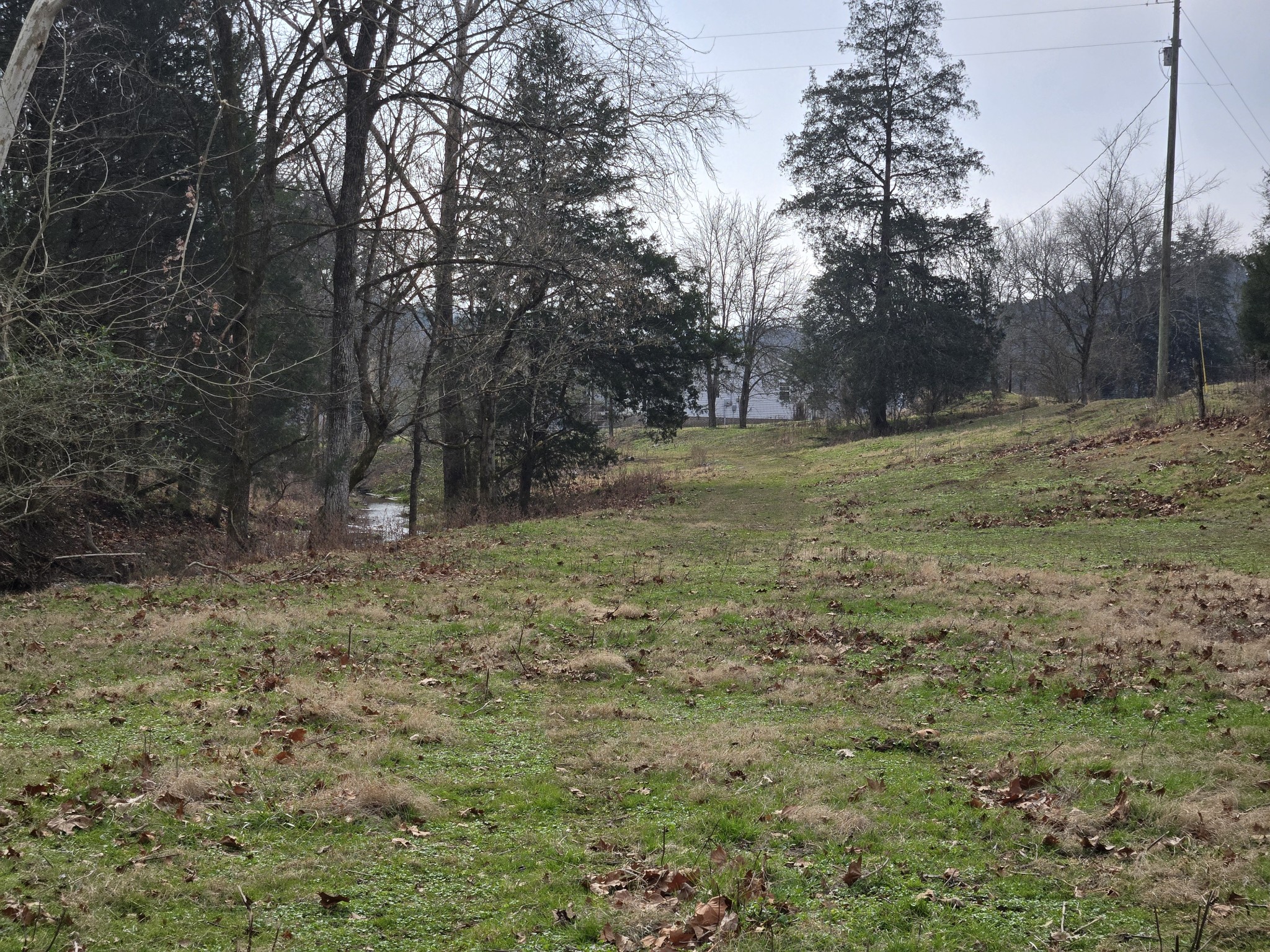 329 Cavender Road Woodbury, TN 37190 - Photo 29 of 41