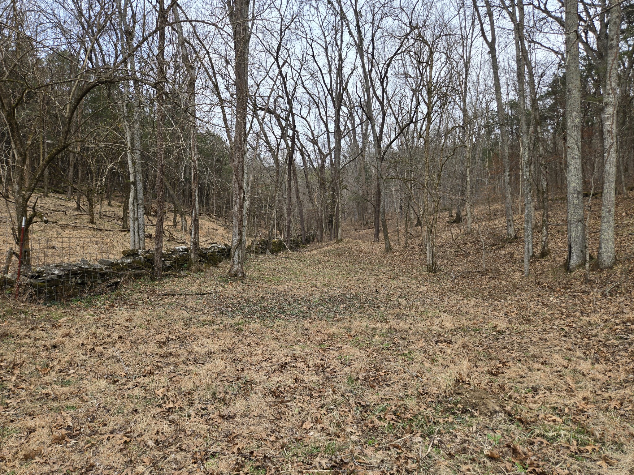 329 Cavender Road Woodbury, TN 37190 - Photo 30 of 41