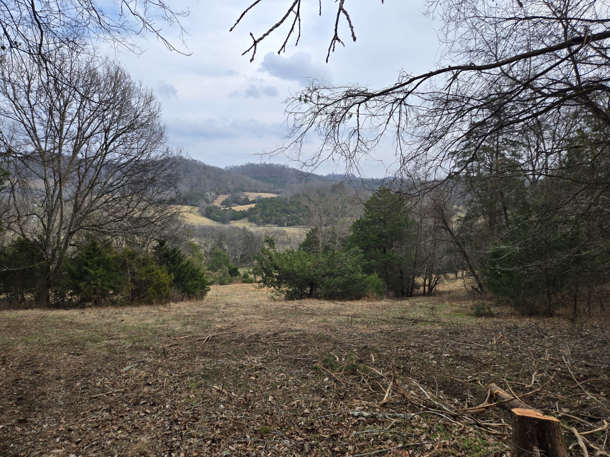 329 Cavender Road Woodbury, TN 37190 - Photo 31 of 41