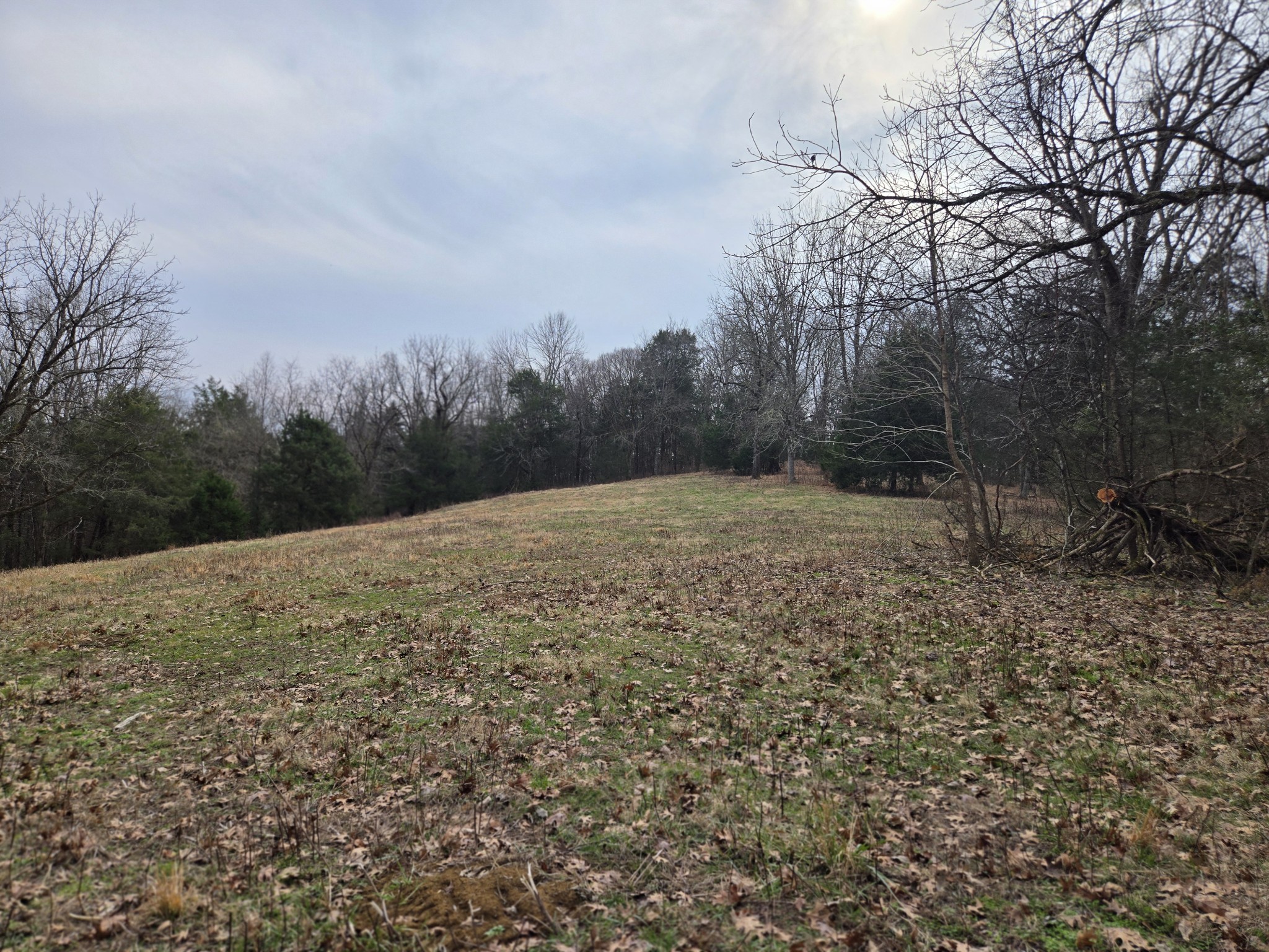 329 Cavender Road Woodbury, TN 37190 - Photo 32 of 41