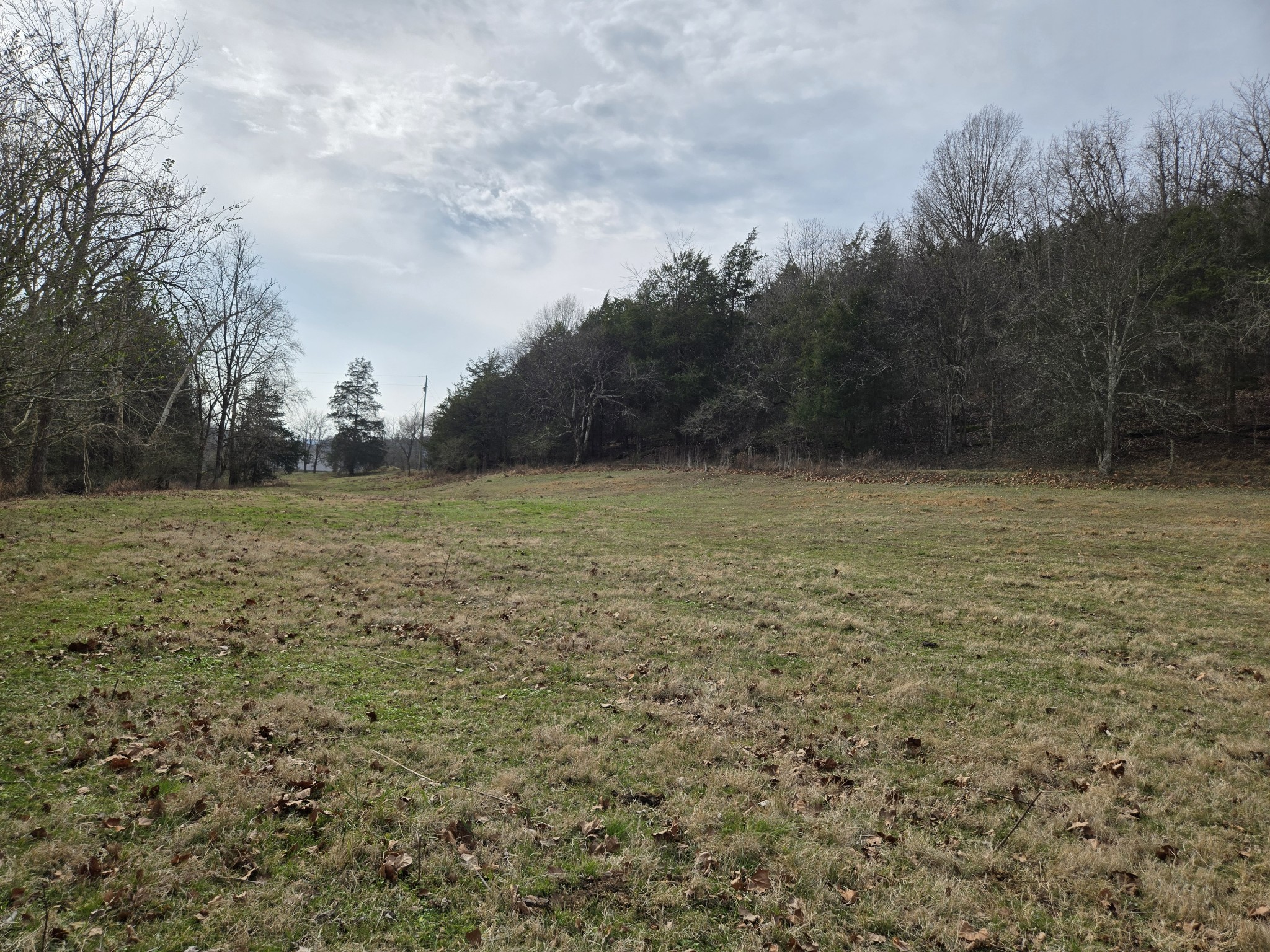 329 Cavender Road Woodbury, TN 37190 - Photo 33 of 41