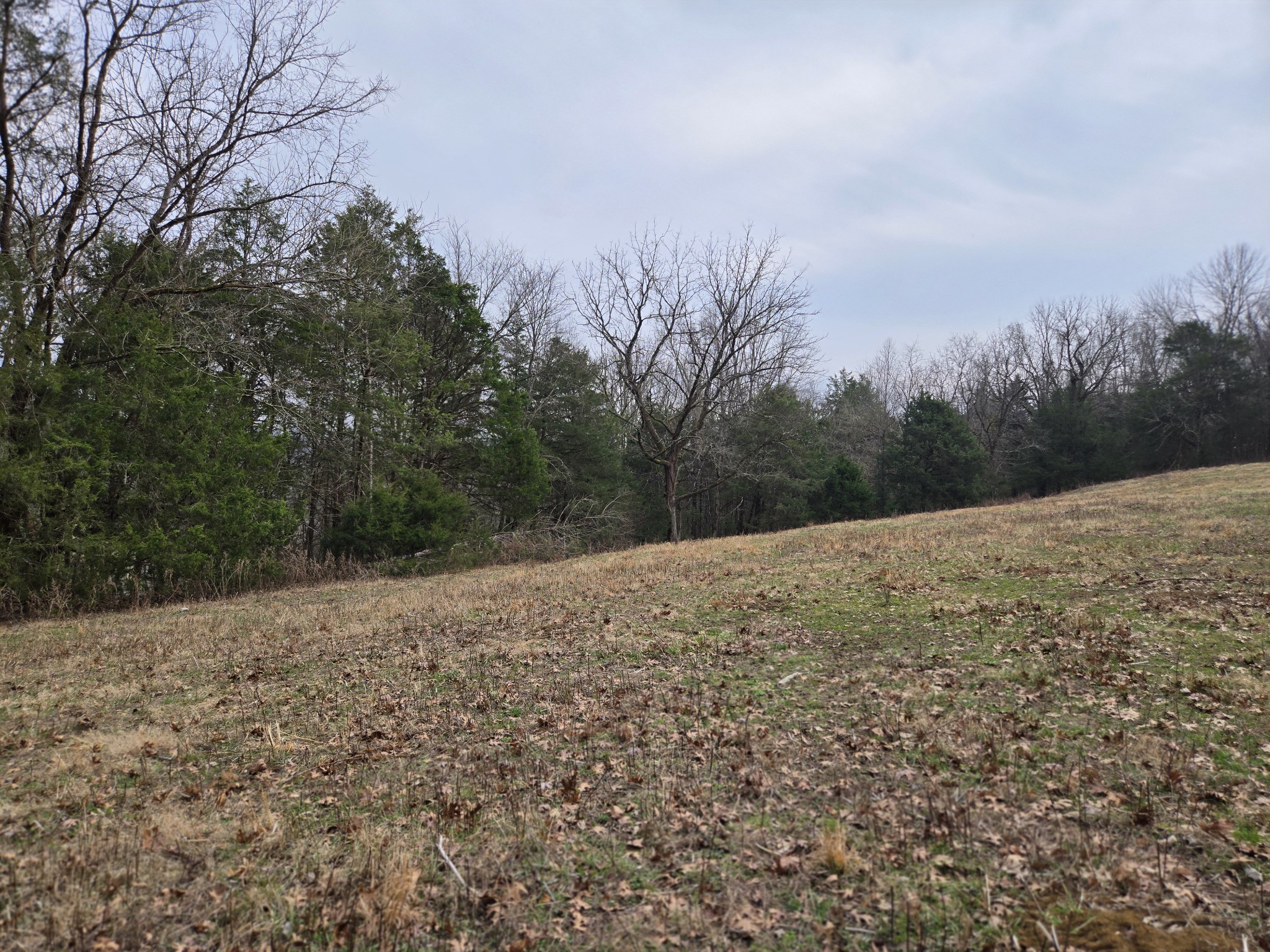 329 Cavender Road Woodbury, TN 37190 - Photo 35 of 41