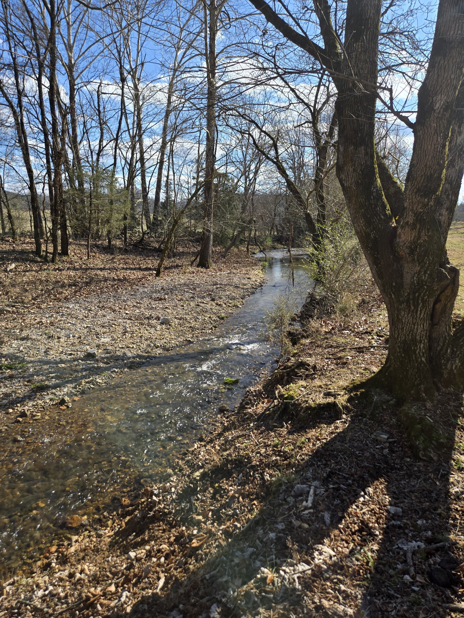 329 Cavender Road Woodbury, TN 37190 - Photo 36 of 41