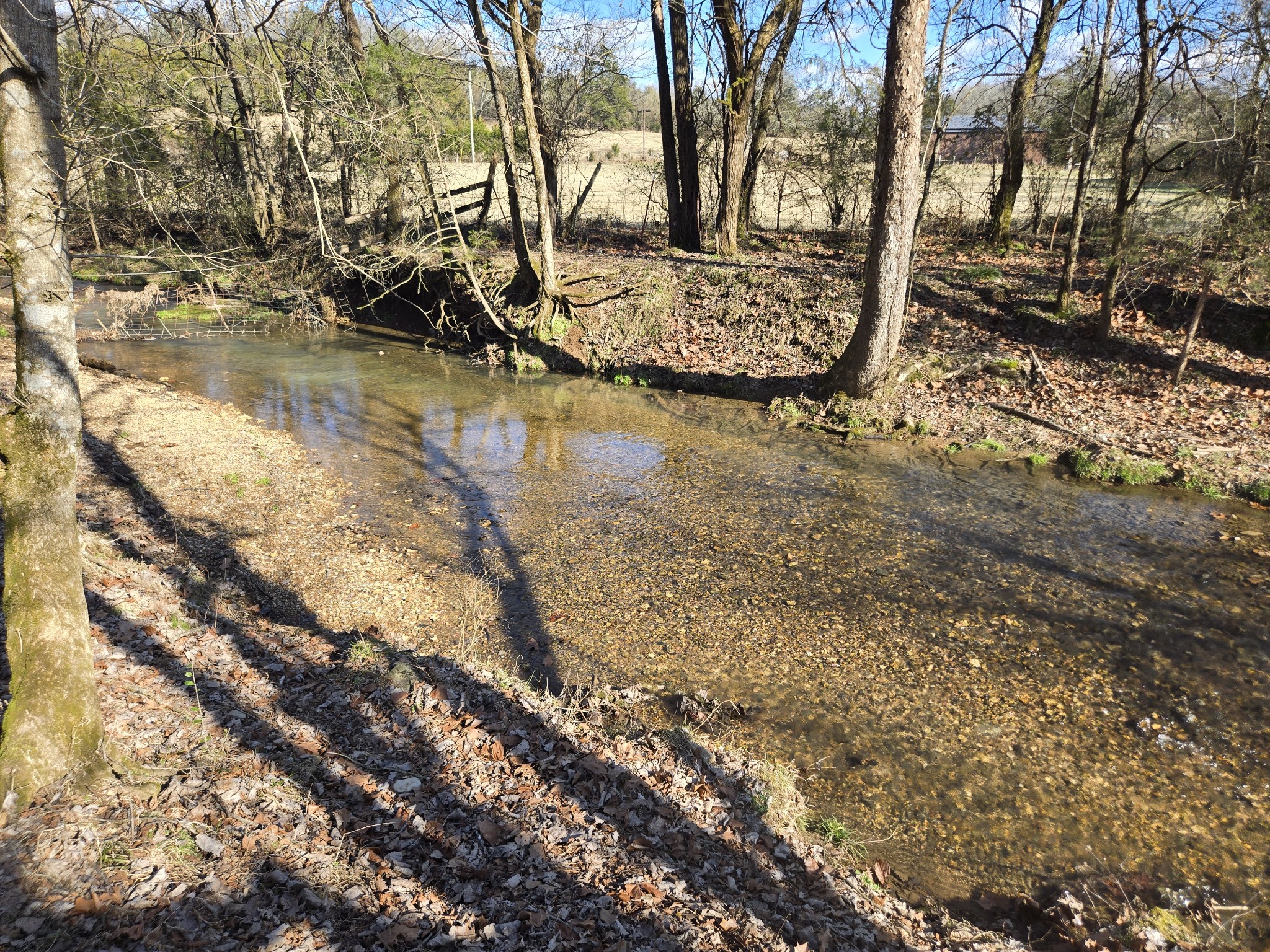 329 Cavender Road Woodbury, TN 37190 - Photo 4 of 41