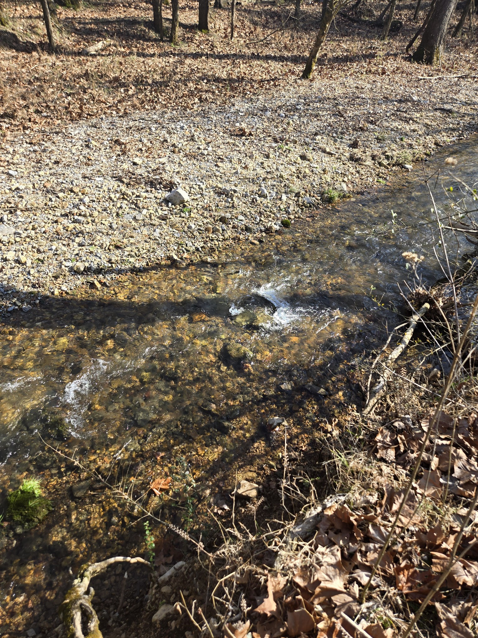 329 Cavender Road Woodbury, TN 37190 - Photo 41 of 41