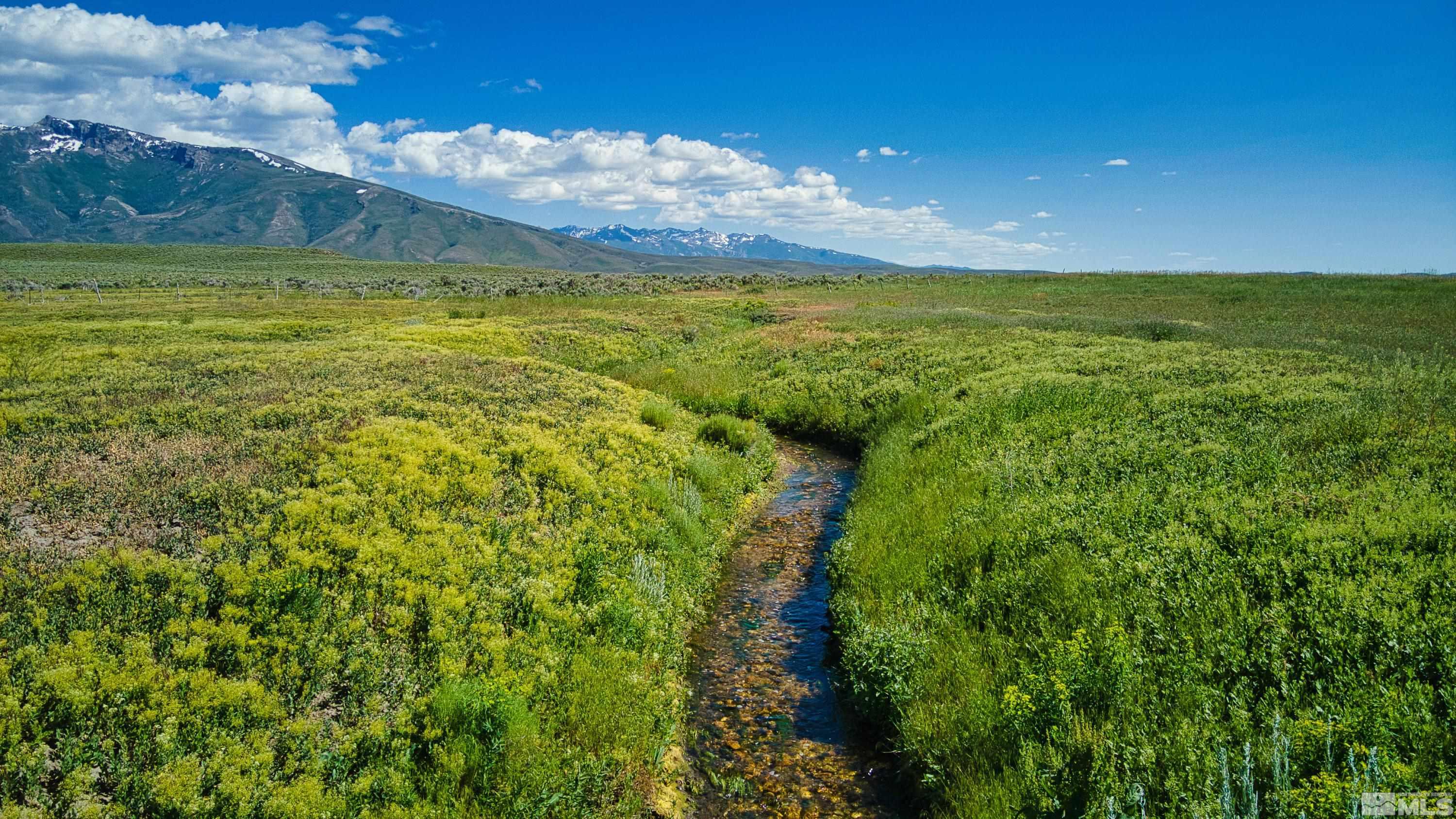 Pleasant Valley Rd Spring Creek Spring Creek, NV 89815 - Photo 1 of 24 Photo 1