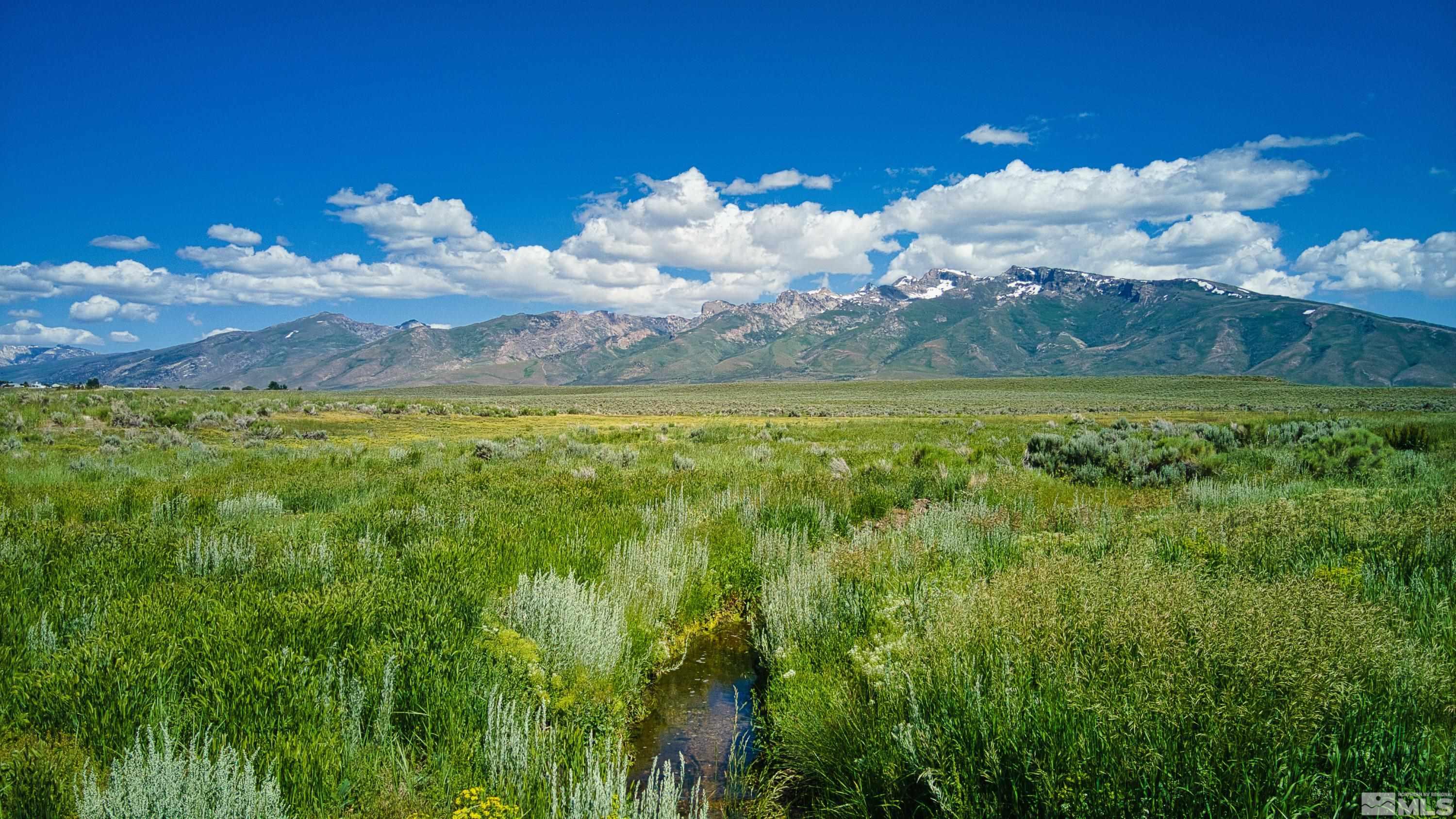 Pleasant Valley Rd Spring Creek Spring Creek, NV 89815 - Photo 11 of 24 Photo 11
