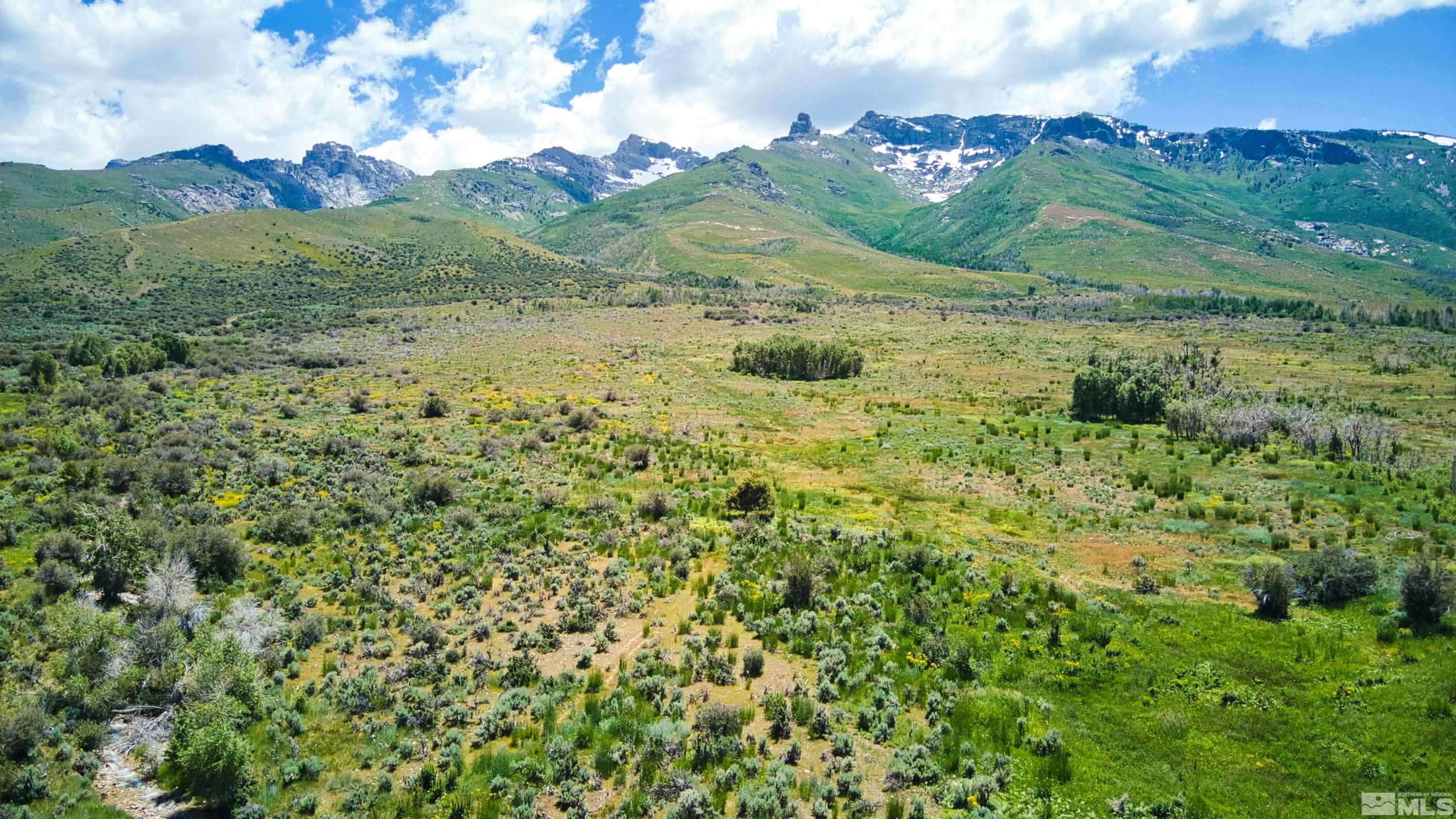 Pleasant Valley Rd Spring Creek Spring Creek, NV 89815 - Photo 13 of 24 Photo 13