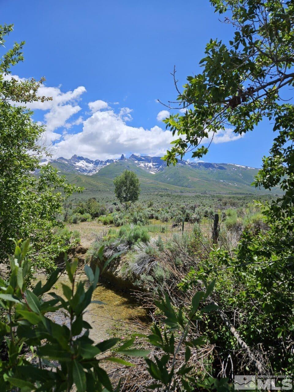 Pleasant Valley Rd Spring Creek Spring Creek, NV 89815 - Photo 14 of 24 Photo 14