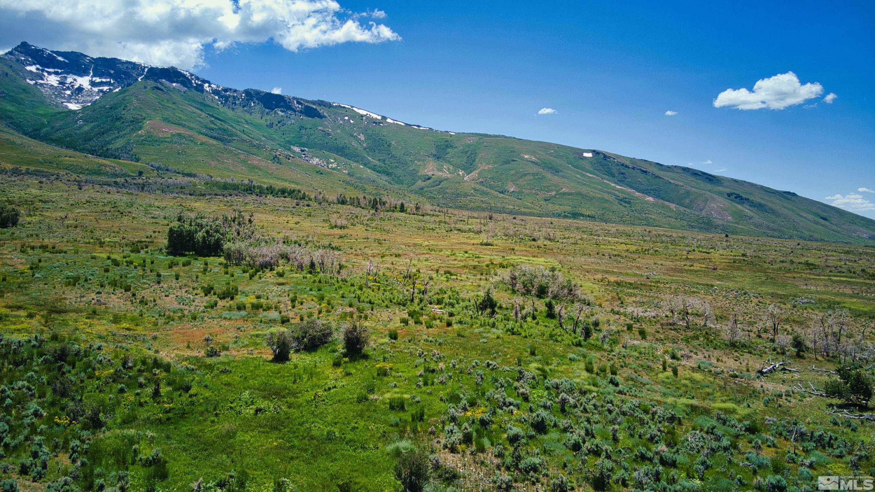 Pleasant Valley Rd Spring Creek Spring Creek, NV 89815 - Photo 15 of 24 Photo 15