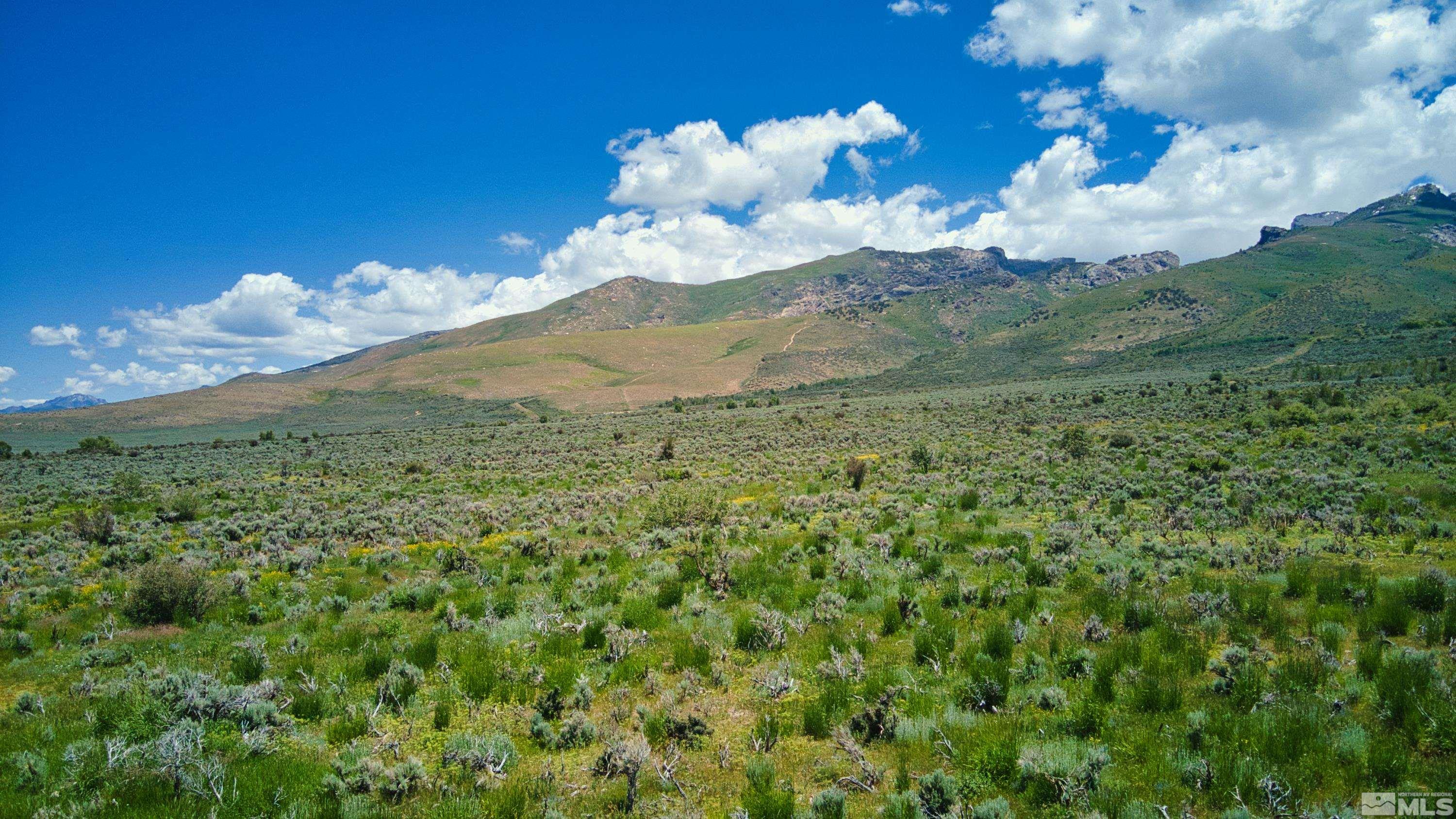 Pleasant Valley Rd Spring Creek Spring Creek, NV 89815 - Photo 16 of 24 Photo 16