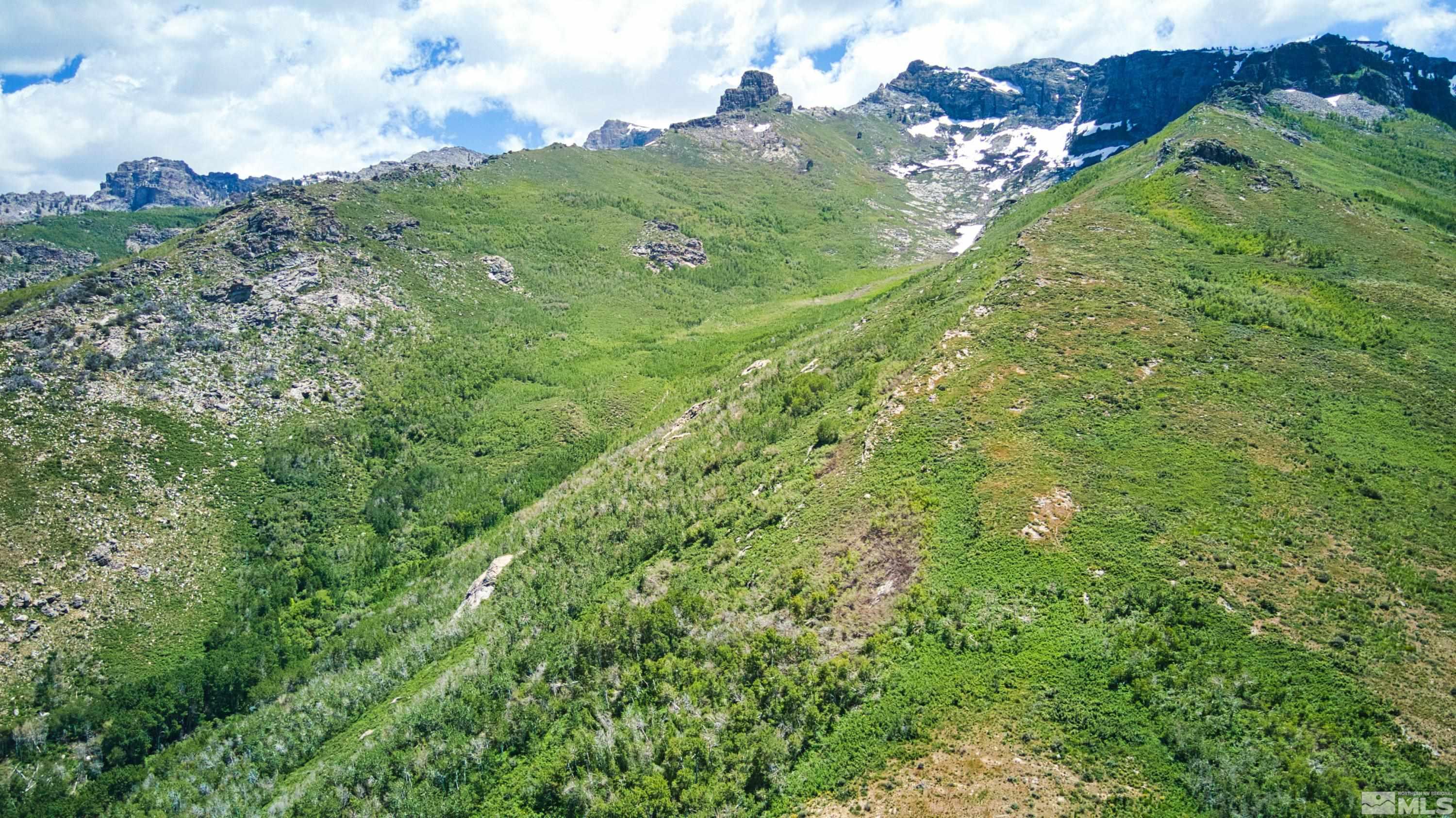 Pleasant Valley Rd Spring Creek Spring Creek, NV 89815 - Photo 18 of 24 Photo 18