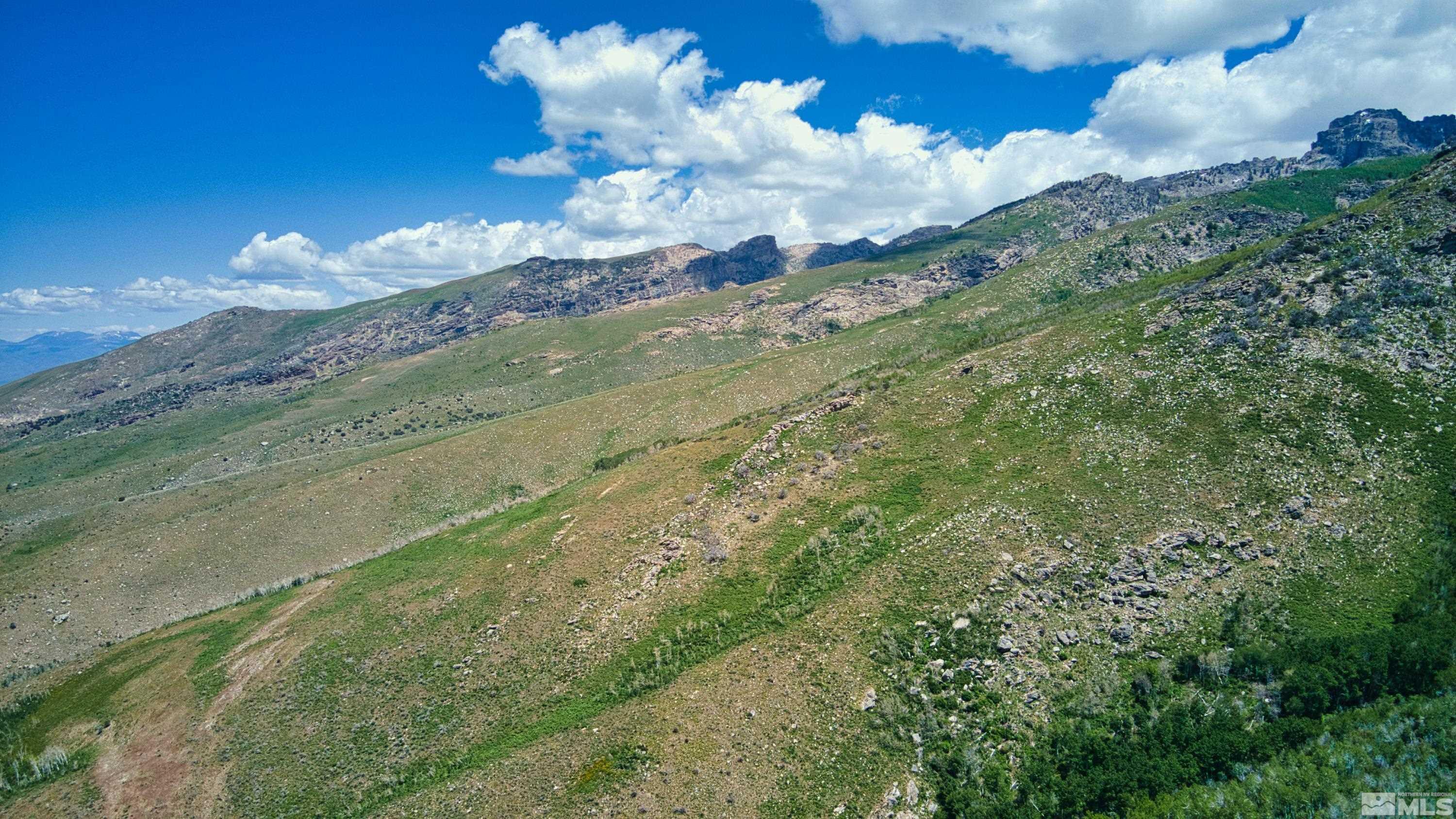 Pleasant Valley Rd Spring Creek Spring Creek, NV 89815 - Photo 21 of 24 Photo 21