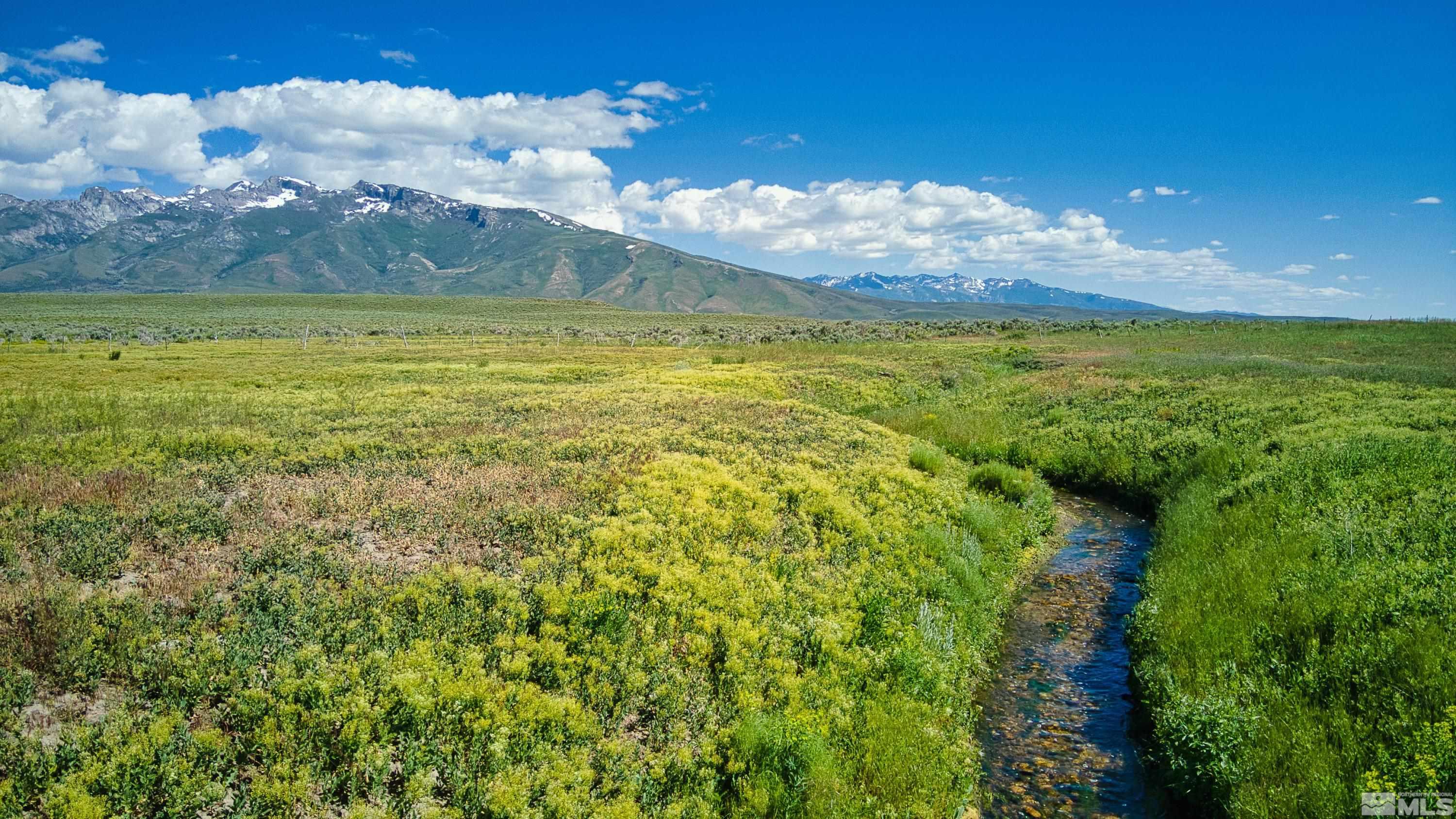 Pleasant Valley Rd Spring Creek Spring Creek, NV 89815 - Photo 5 of 24 Photo 5