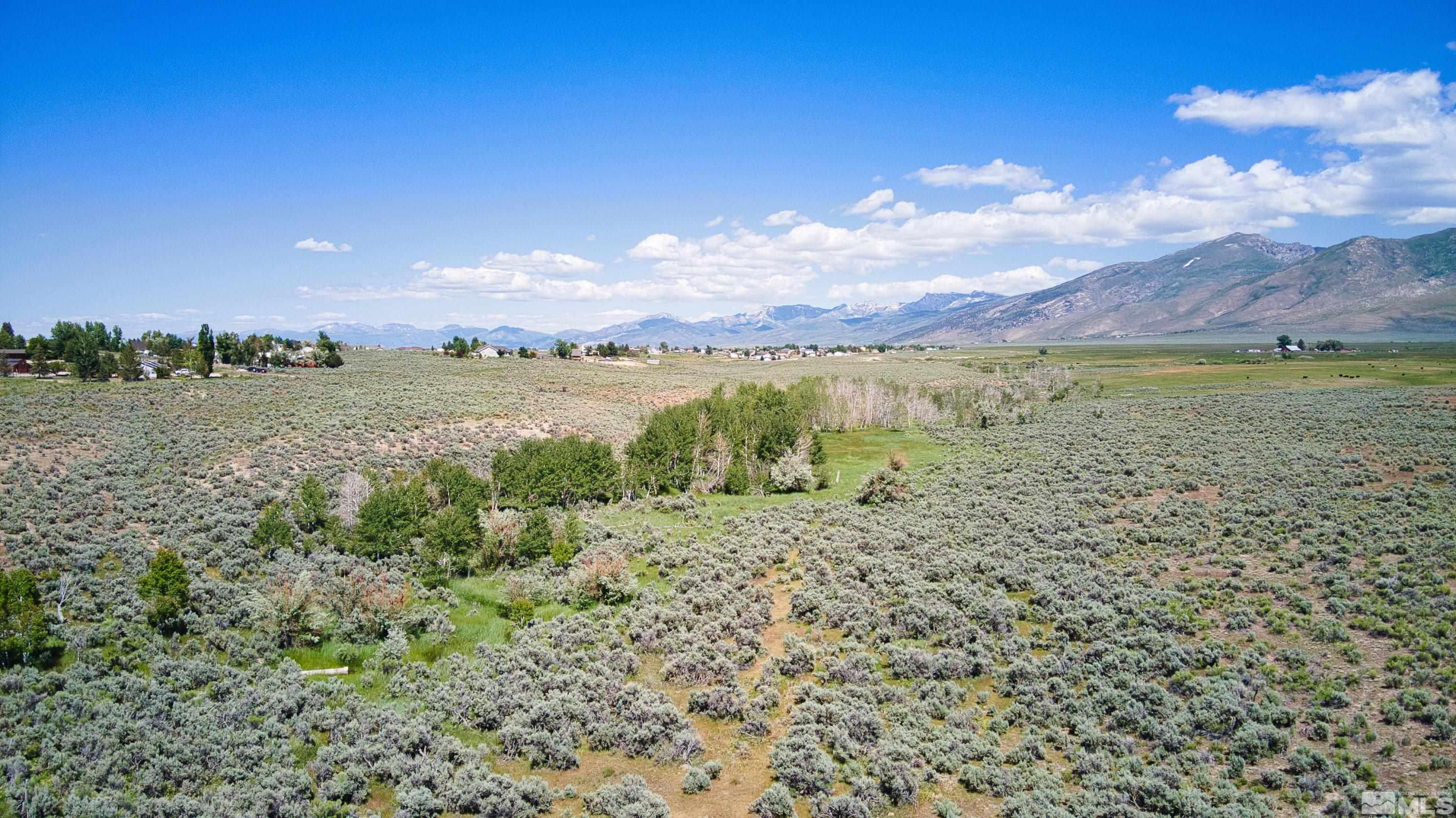 Pleasant Valley Rd Spring Creek Spring Creek, NV 89815 - Photo 8 of 24 Photo 8
