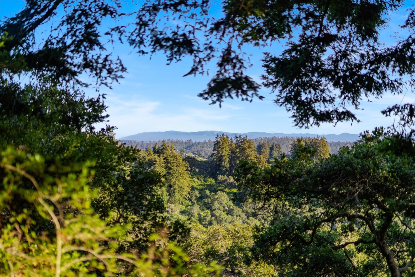899 Calabasas Road Watsonville, CA 95076 - Photo 76 of 79