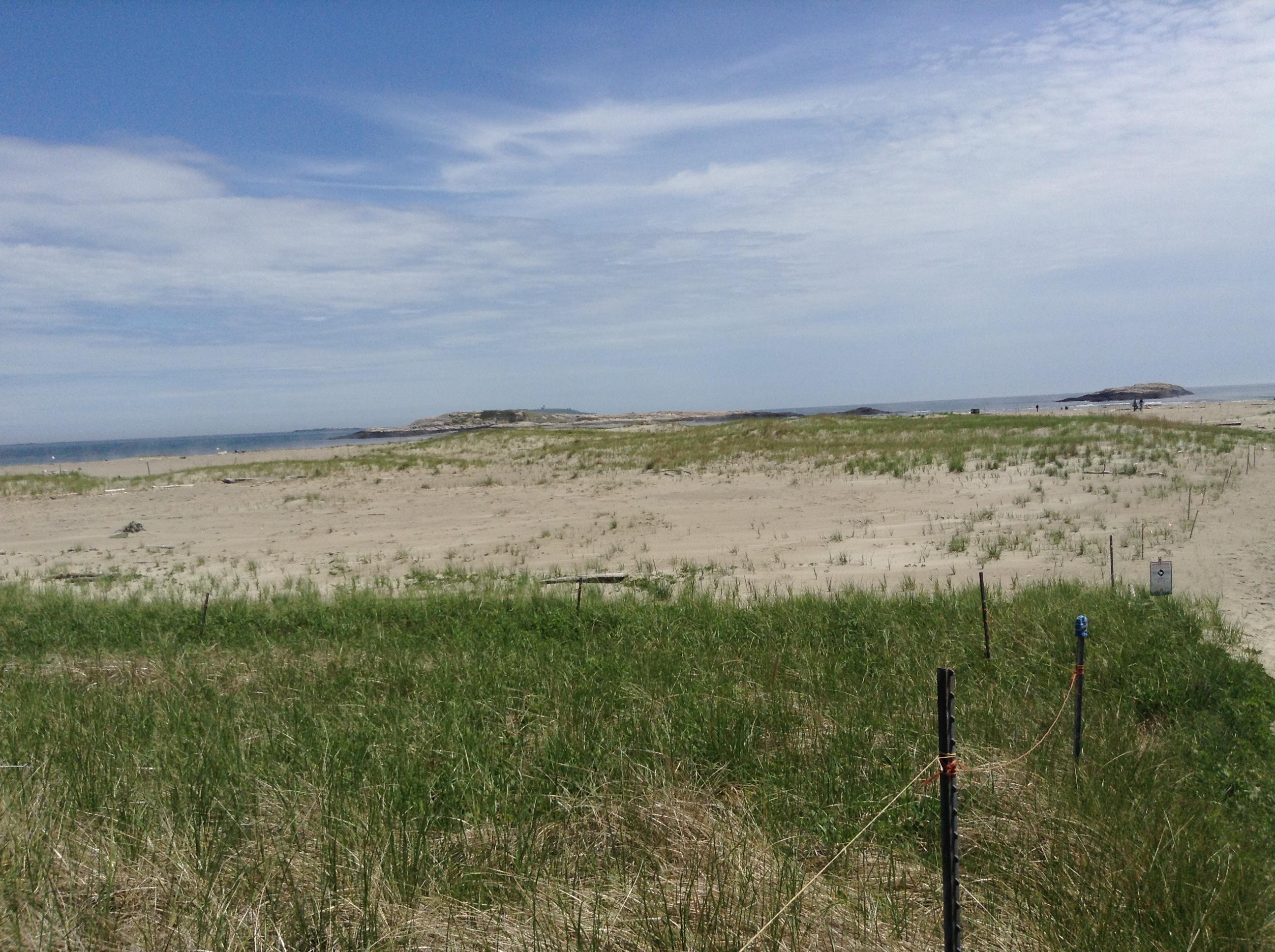 1593 Main Road Phippsburg, ME 04562 - Photo 19 of 33 Pophan Beach