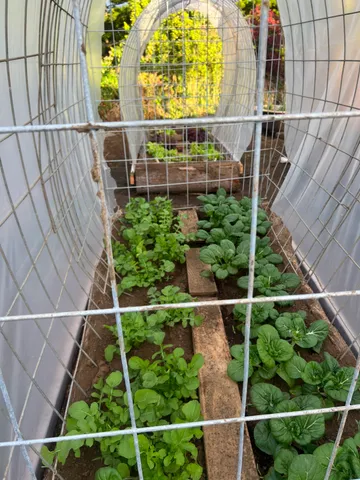 $1,990,000 | 1 None, Pahala, HI 96777