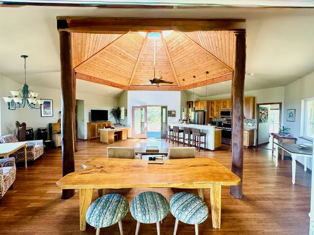 a close up of a plant in a pot