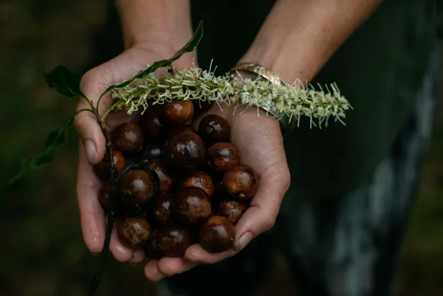 $1,990,000 | 1 None, Pahala, HI 96777