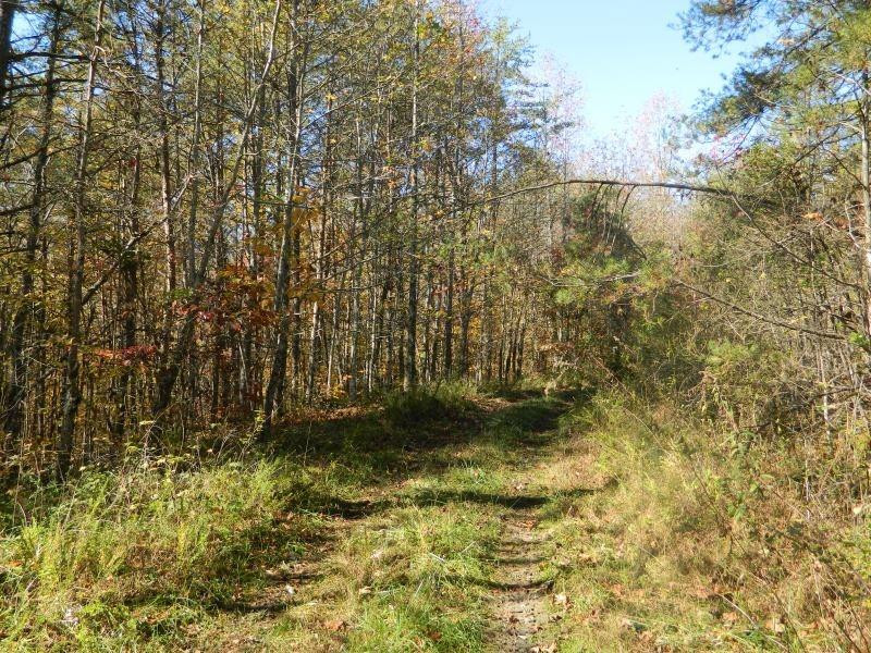 1 Shoemaker Ridge Zoe, KY 41397 - Photo 17 of 33 Photo 17