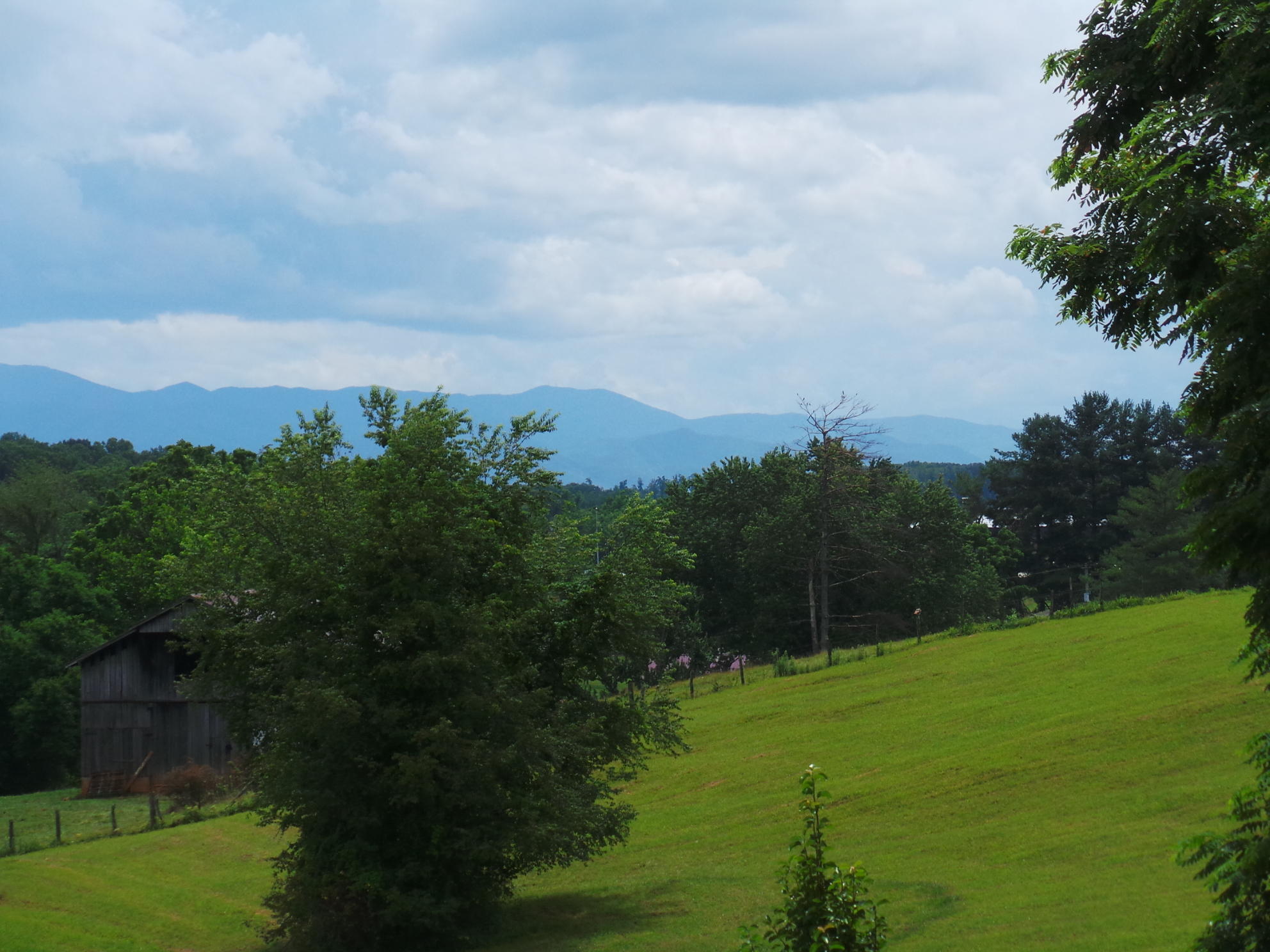 169 Laurel View Road Jonesborough, TN 37659 - Photo 152 of 159 EAST TENNESSEE BEAUTY