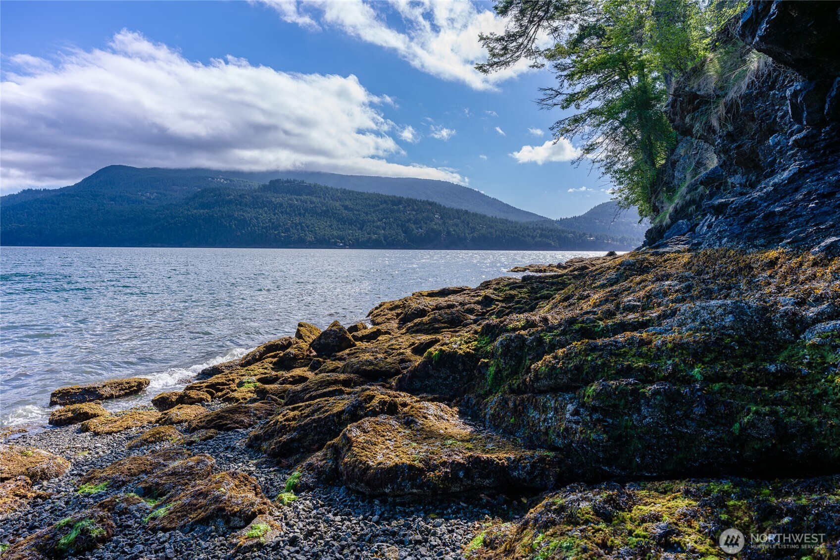2101 Dolphin Bay Road Orcas Island, WA 98245 - Photo 17 of 38
