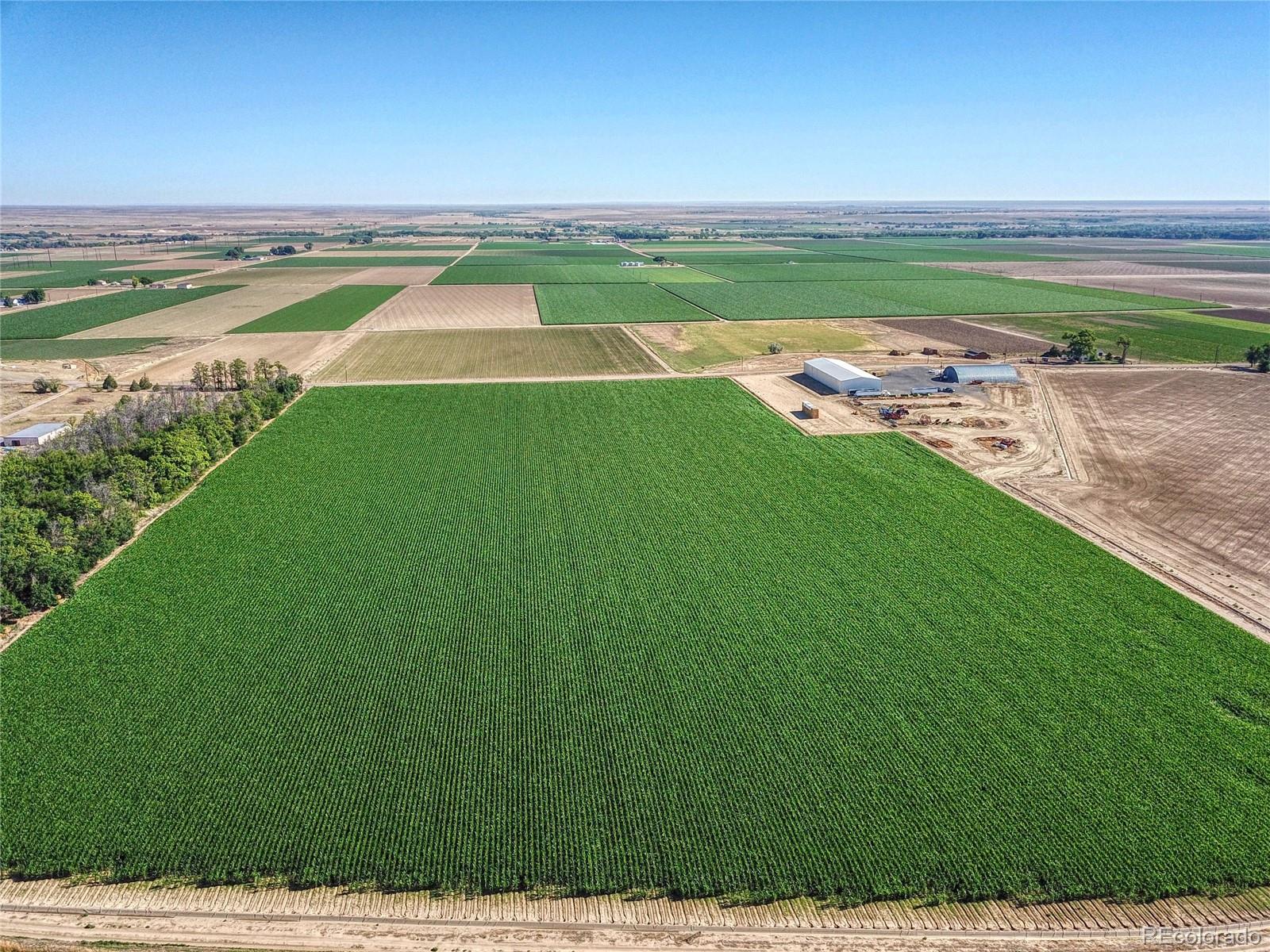 45700 Olson Road Avondale, CO 81022 - Photo 10 of 18 Gallery Image 10